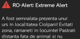 Urs văzut lângă București. A fost transmis un mesaj RO-Alert