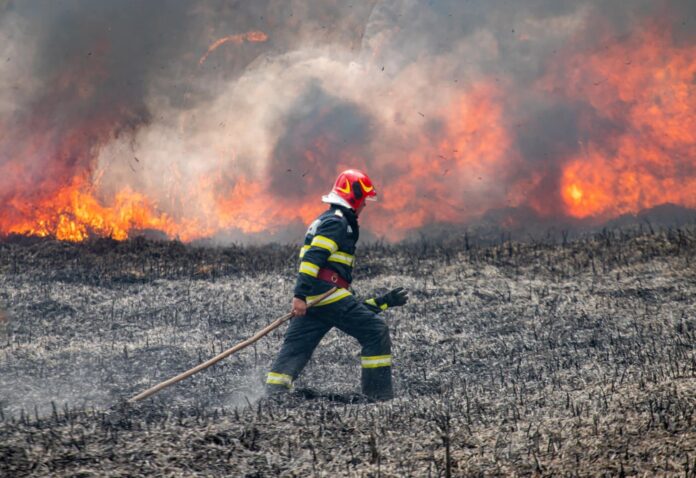 FOTO: ISU Tulcea