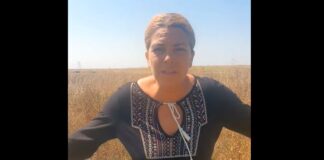 Cântăreața Dana Marijuana, prinsă la volan sub influența drogurilor. La ce substanțe a fost pozitivă la drugtest dana marijuana