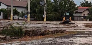 O furtună puternică s-a abătut asupra litoralului. Vijelia a doborât copaci și a luat pe sus acoperișul unei case