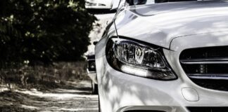 Un șofer a fost reținut pentru 24 de ore de polițiști. E acuzat că a dat intenționat cu mașina peste un câine mașină