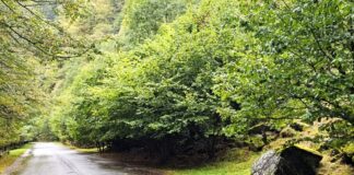 O șosea care trece prin unul dintre cele mai sălbatice ținuturi din România va fi modernizată după 50 de ani valea râului mare retezat