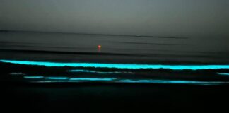 Fenomen spectaculos pe litoralul românesc al Mării Negre. Apa a devenit fosforescentă apa fosforescentă marea neagră