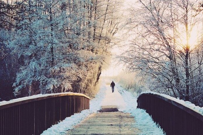 zapadă ninsoare ninge