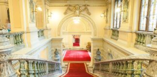 Cine ar putea fi candidatul comun la președinție susținut de toate partidele proeuropene palatul cotroceni