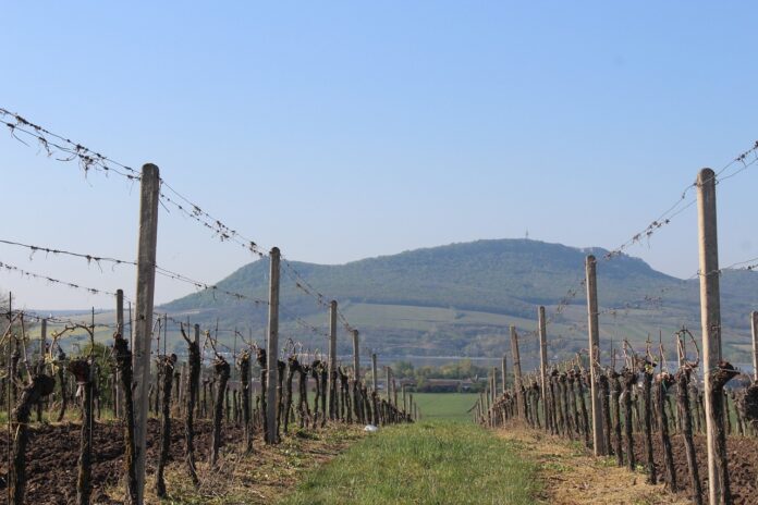 czechia-5354033_1280