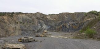 Cei 2 adolescenți în vârstă de 15 ani, dați dispăruți în Tulcea, au fost găsiți morți