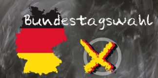 Primul exit poll pentru alegerile parlamentare din Germania. Ce scor are AfD, partidul de extremă dreapta susținut de Elon Musk