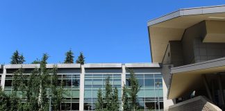 Microsoft va face concedieri în România FOTO: Wikimedia Commons