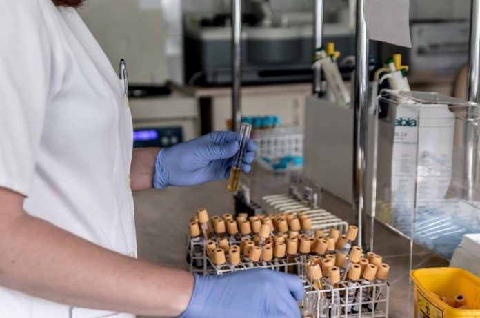 FOTO: jarmoluk/Pixabay.com FOTO: jarmoluk/Pixabay.com