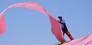 TOP 10. Din ce țări vin cei mai mulți migranți non-UE în România și ce grupuri s-au integrat cel mai bine migrant non-ue românia