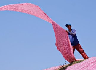 TOP 10. Din ce țări vin cei mai mulți migranți non-UE în România și ce grupuri s-au integrat cel mai bine migrant non-ue românia