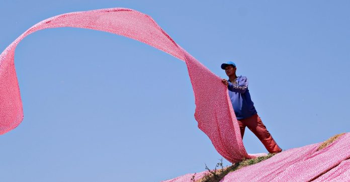 migranti-non-ue-romania migrant non-ue românia