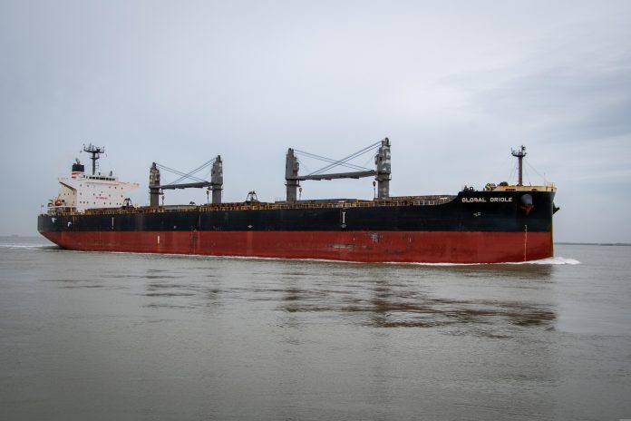 FOTO: dendoktoor/Pixabay.com